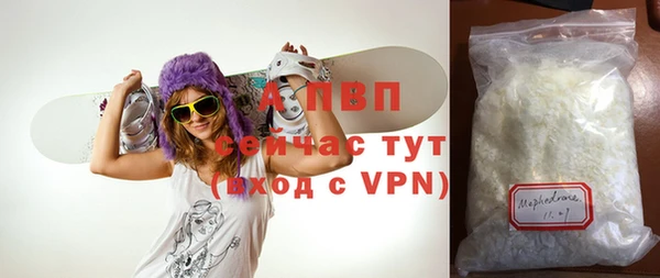 шишки Апатиты