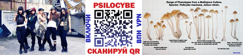 Псилоцибиновые грибы мицелий  как найти   Вичуга 